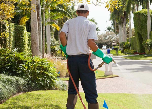 About Lascassas TN Pest Control Pros